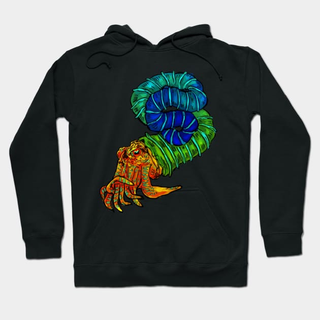 ammonite 1 Hoodie by bhramarii